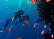 scuba diver