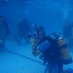 PADI IDC Australia. Students in Confined water presentations PADI IDC Australia. Students in Confined water presentations