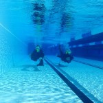PADI IDC Australia. Students practising the CESA PADI IDC Australia. Students practising the CESA