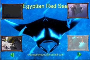 egypt-dvd