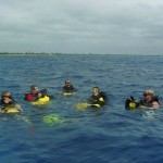 PADI IDC in Grand Cayman