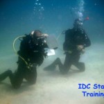 PADI IDC Vietnam - Staff Instructors