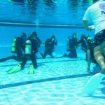 PADI IDC Dubai Confined Water presentations PADI IDC Dubai Confined Water presentations