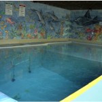 Pool for IDC skills The purpose built pool at Ocean View. Always nice and warm – around 30 degrees Pool for IDC skills The purpose built pool at Ocean View. Always nice and warm – around 30 degrees