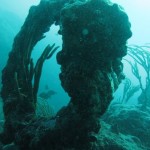 Test Anchor