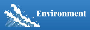 environment 01
