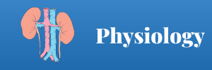 physiology 01