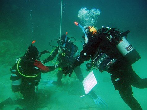 PADI IDC in Australia - Case practise in OW