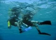 padi rescue diver