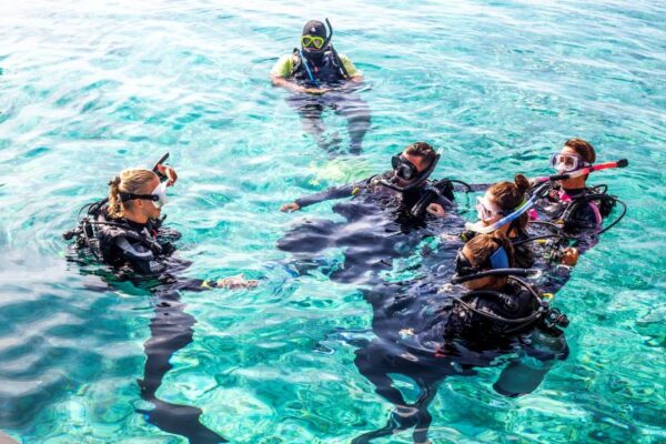 bonaire padi idc instructor training12 1