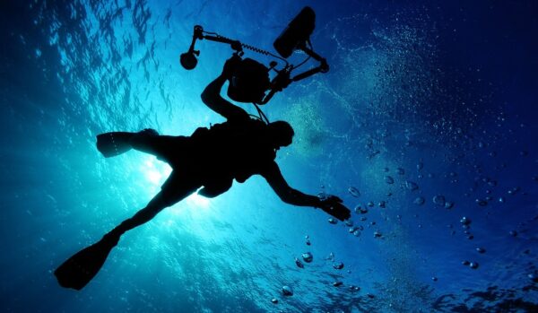 scuba diving swimming sea 79606