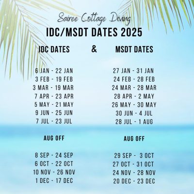 IDC MSDT DATES 2025 New