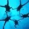 United Kingdom – PADI Course Director