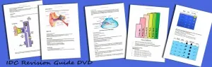 PADI IDC Revision Exams