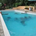 PADI IDC Students. IDC in Costa Rica - Caribbean